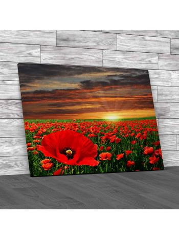 Poppy Field At Sunrise Canvas Print Large Picture Wall Art