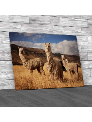 Llamas In Andes Mountains Peru Canvas Print Large Picture Wall Art