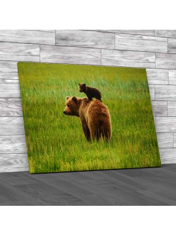 Coastal Brown Bears Canvas Print Large Picture Wall Art