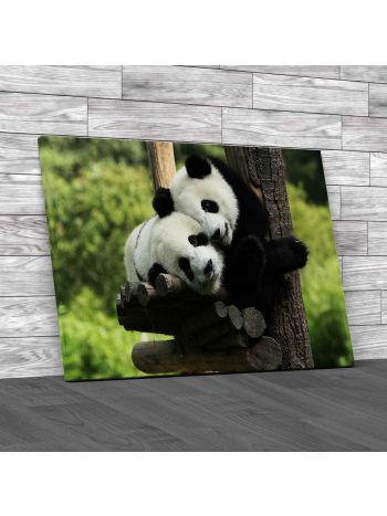 Giant Panda Cubs Canvas Print Large Picture Wall Art