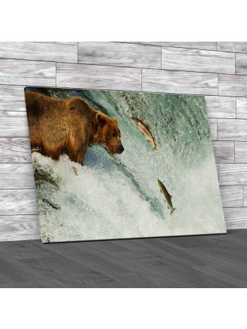 Grizzly Catching Salmon Canvas Print Large Picture Wall Art