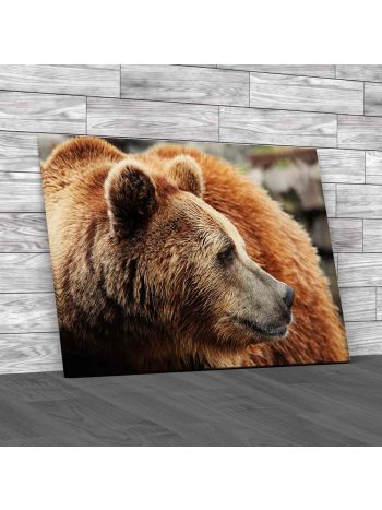 Grizzly Bear Canvas Print Large Picture Wall Art