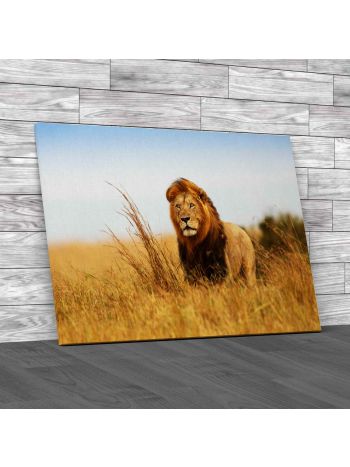 Lion Caesar Canvas Print Large Picture Wall Art