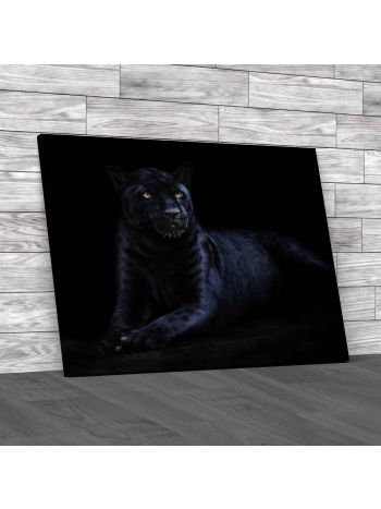 Black Jaguar Canvas Print Large Picture Wall Art