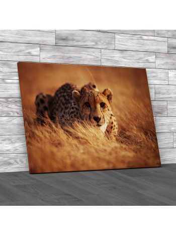 Cheetah Canvas Print Large Picture Wall Art
