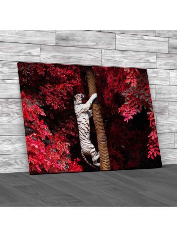 White Tiger Canvas Print Large Picture Wall Art