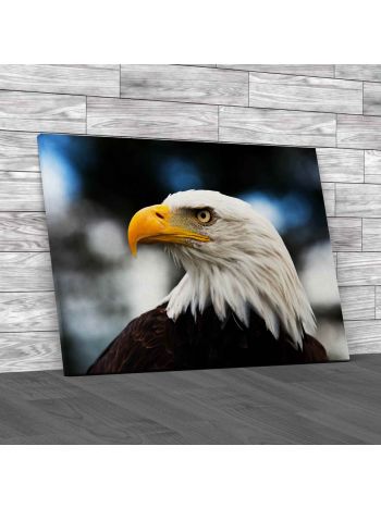 Bald Headed Eagle Canvas Print Large Picture Wall Art