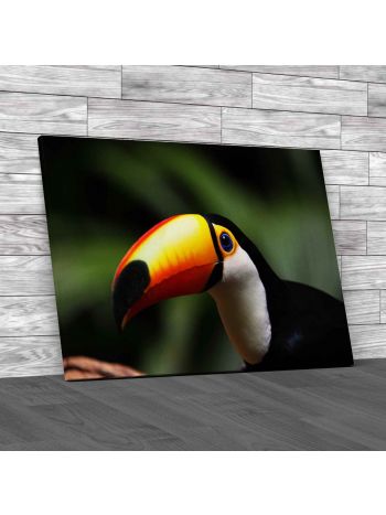 Toucan Canvas Print Large Picture Wall Art