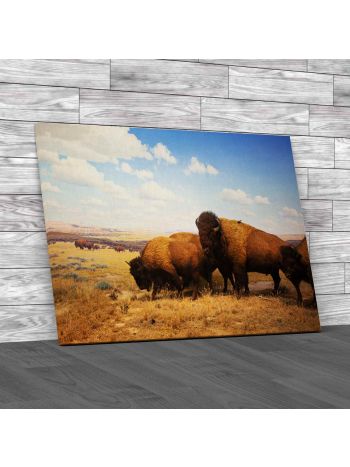 Herd Of Bison Canvas Print Large Picture Wall Art