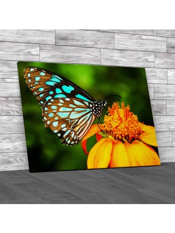 Blue Butterfly Fly In Morning Nature Canvas Print Large Picture Wall Art