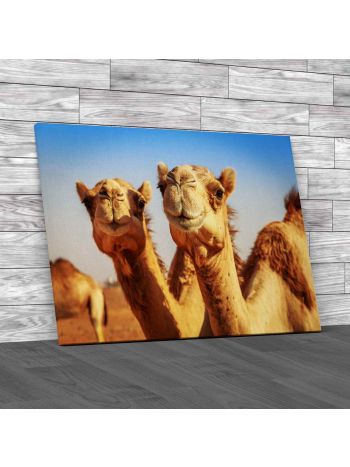 Camels In Arabia Canvas Print Large Picture Wall Art