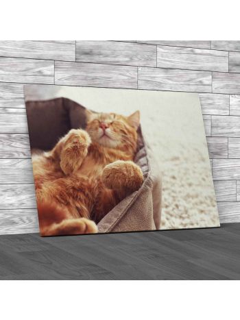 Ginger Cat Sleeps Canvas Print Large Picture Wall Art