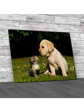 Cat And Dog Canvas Print Large Picture Wall Art