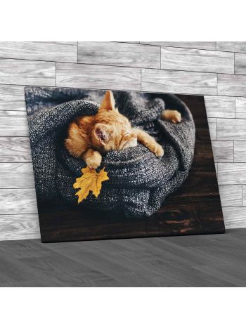 Ginger Kitten Sleeping In Soft Blanket Canvas Print Large Picture Wall Art