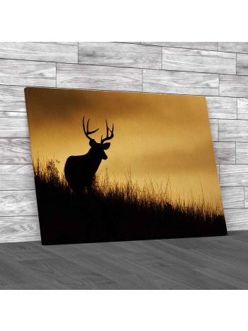 White Tailed Buck Deer Canvas Print Large Picture Wall Art