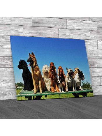 Group Of Puppies Canvas Print Large Picture Wall Art