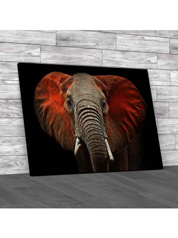 Red Eared African Elephant Canvas Print Large Picture Wall Art