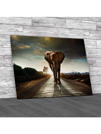 Elephant Walking In A Road Canvas Print Large Picture Wall Art