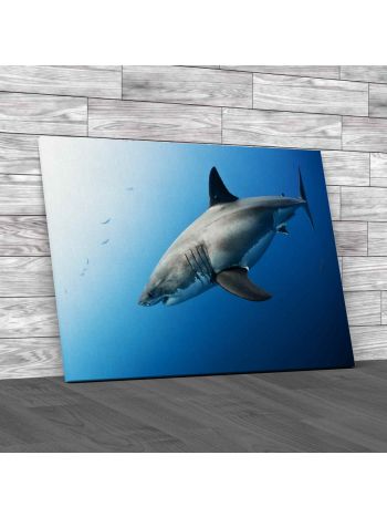 Great White Shark Canvas Print Large Picture Wall Art