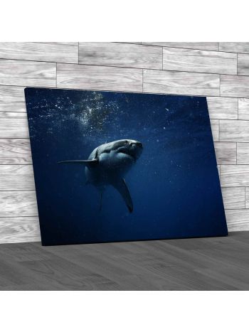 Great White Shark In Dark Waters Canvas Print Large Picture Wall Art