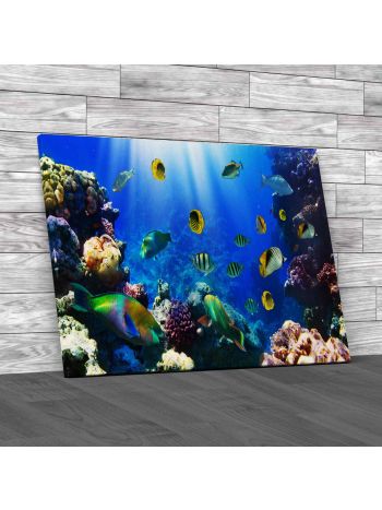 Tropical Fish On A Coral Reef 2 Canvas Print Large Picture Wall Art