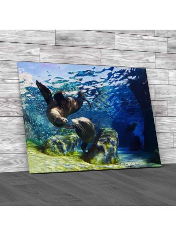 Californian Sea Lions Canvas Print Large Picture Wall Art