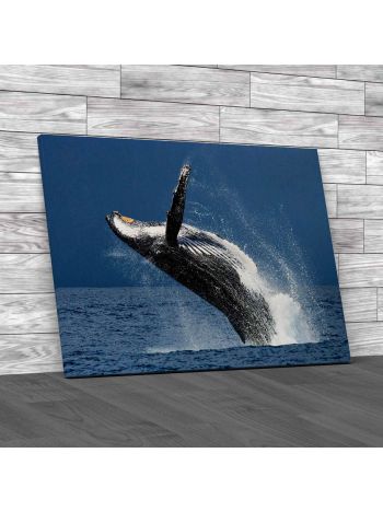 Jumping Humpback Whale Canvas Print Large Picture Wall Art