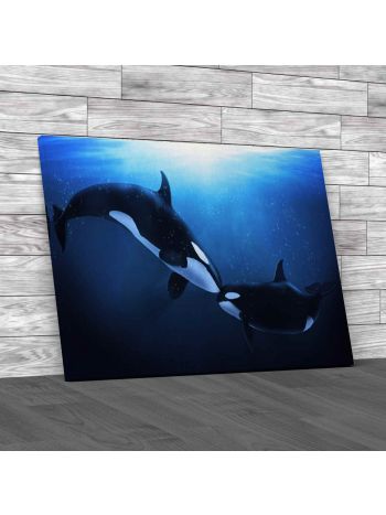 Orca Tenderness Canvas Print Large Picture Wall Art
