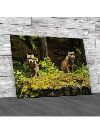 Two Wolves On The Rocks Canvas Print Large Picture Wall Art