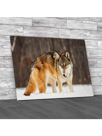 Wolf In Snow Canvas Print Large Picture Wall Art