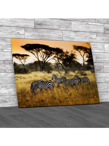 Herd Of Zebras On The African Savannah Canvas Print Large Picture Wall Art