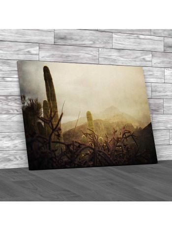 Cacti In Arizona Canvas Print Large Picture Wall Art