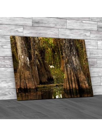 Cypress Forest Everglades National Park Canvas Print Large Picture Wall Art