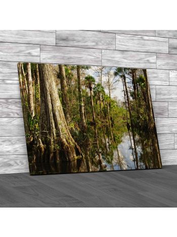 Trees In The Everglades Florida Canvas Print Large Picture Wall Art