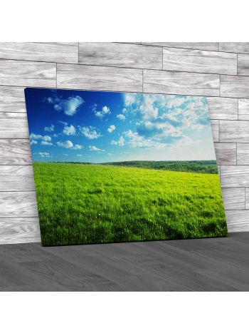 Field Of Spring Grass Canvas Print Large Picture Wall Art