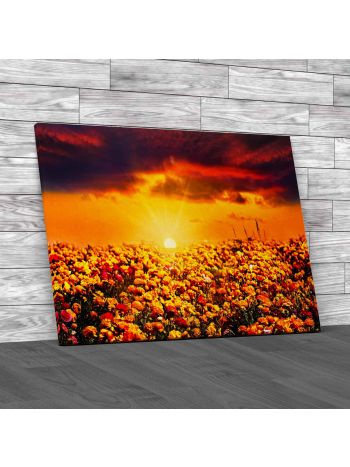 Field Of Flowers In Sunset Canvas Print Large Picture Wall Art