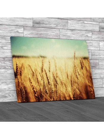 Golden Wheat Field Canvas Print Large Picture Wall Art
