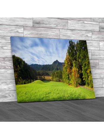 Quiet Country Road In Cades Cove Canvas Print Large Picture Wall Art