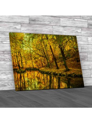 Autumn Woodland Scene Canvas Print Large Picture Wall Art