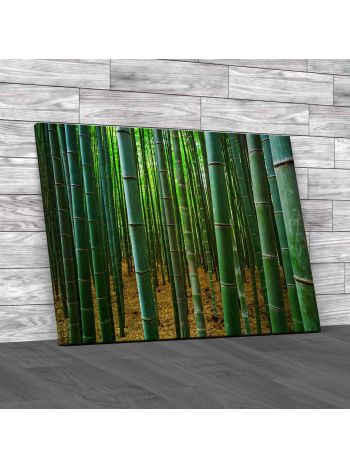Bamboo Forest In Kyoto Japan Canvas Print Large Picture Wall Art