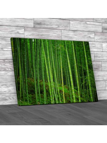 Bamboo Forest Canvas Print Large Picture Wall Art
