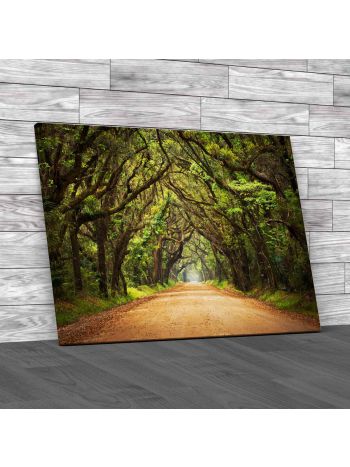 Botany Bay Plantation South Carolina Canvas Print Large Picture Wall Art