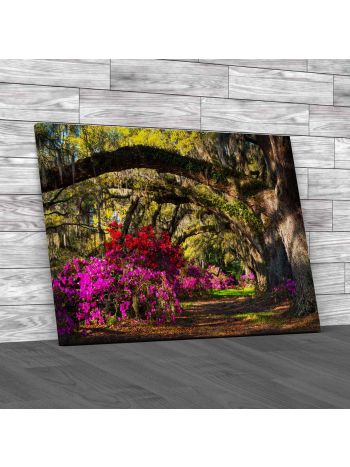 Spring Bloom Azalea Flowers South Carolina Canvas Print Large Picture Wall Art