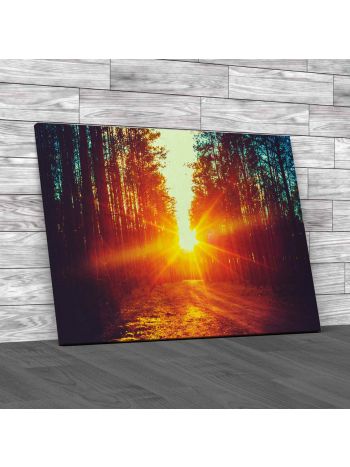 Forest Road Under Sunset Sunbeams Canvas Print Large Picture Wall Art