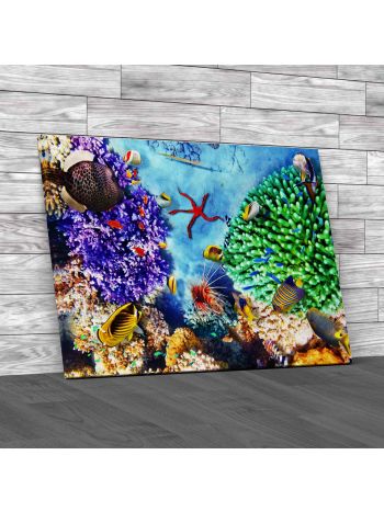 Corals And Fishes 3 Canvas Print Large Picture Wall Art