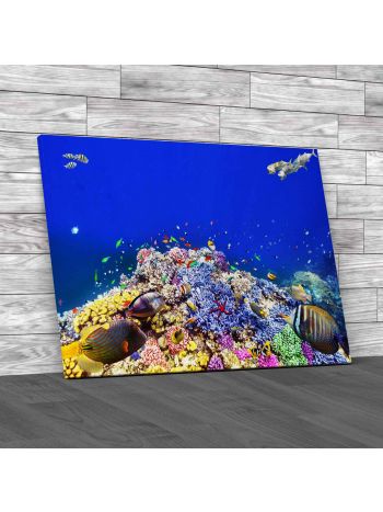 Corals And Fishes 4 Canvas Print Large Picture Wall Art