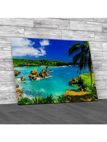 Ocean View In Hawaii Canvas Print Large Picture Wall Art