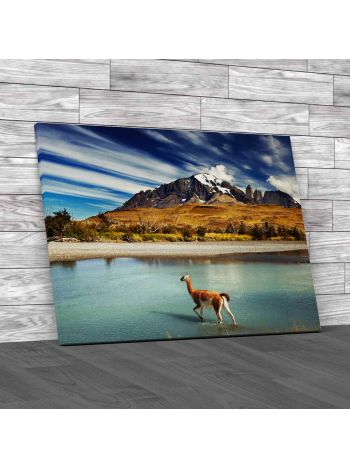 Guanaco At Torres Del Paine Chile Canvas Print Large Picture Wall Art