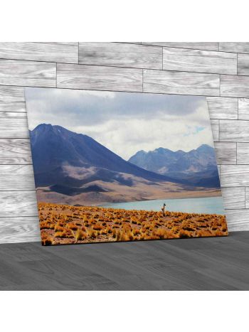 Los Flamencos National Reserve Chile Canvas Print Large Picture Wall Art