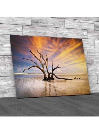 Dead Tree At Sunset South Carolina Canvas Print Large Picture Wall Art